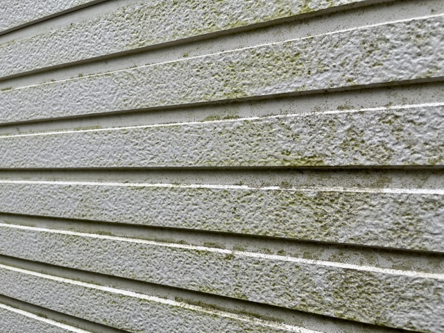 神奈川・横浜版】外壁塗装でカビや藻を防ぐ方法とは？塗料選びや施工のポイントも紹介！