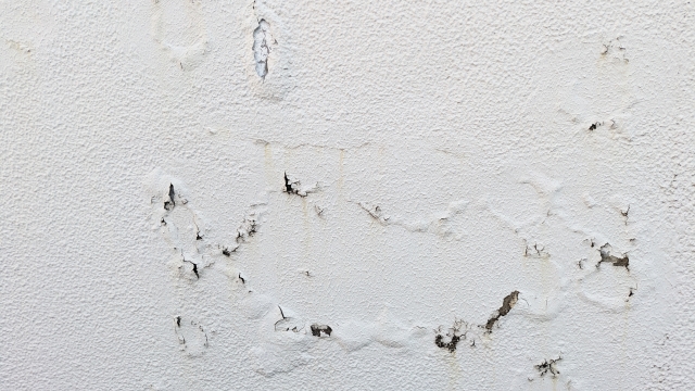 神奈川・横浜の地域特性に起因した外壁劣化